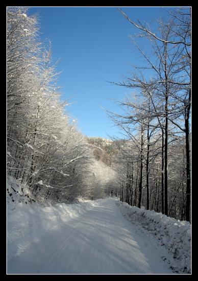 zima jest piękna - Zdjecie_drogi_osniezonej,_droga_w_sniegu,_sniezna_droga_1170.jpg