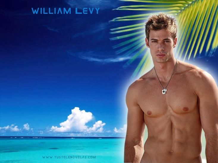 Tapety - williamlevy1024768bp6.jpg