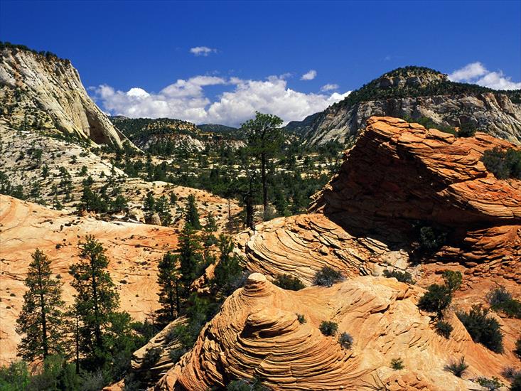 Parki - Swirling-Sandstone-Formations_-Zion-National-Park_-Utah.jpg