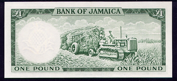 Jamaica - JamaicaP51Cb-1Pound-L19601964-donatedTDS_b.jpg