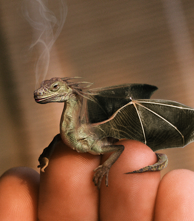 Zwierzęta mityczne - dragon-baby.bmp