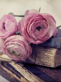Flowers - Flowerbook.jpg