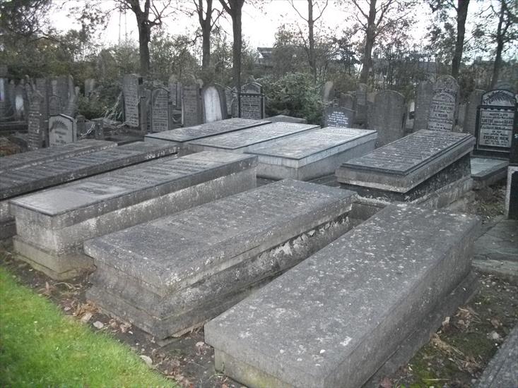 1.11.2011 cmentarz w Harlingenie - 100_2308.JPG