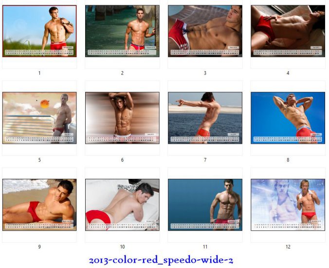 -2013-Kalendarz - 2013-color-red_speedo-wide-2.jpg