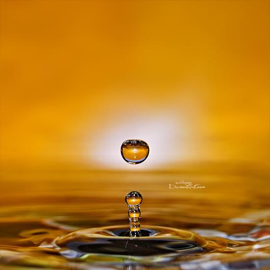 Krople wody - Water_Drops_55_by_ovidiupop.jpg