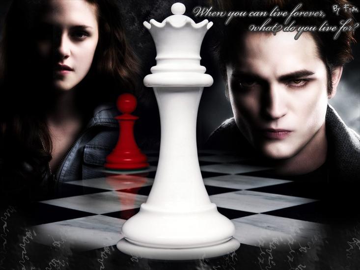 Edward,Bella i reszta - Twilight-twilight-series-2926763-1024-768.jpg