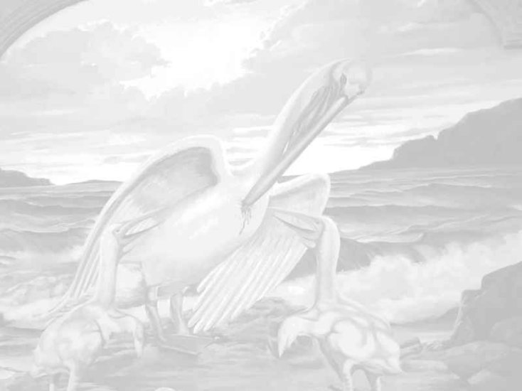 Religijne - Pelikana.jpg