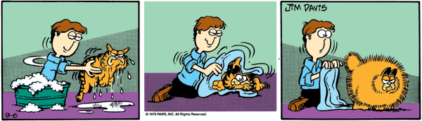 Garfield 1978-1979 - ga780906.gif