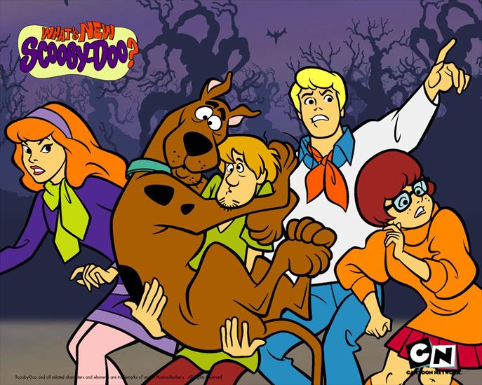 Scooby doo - Scooby-Doo-6.jpg