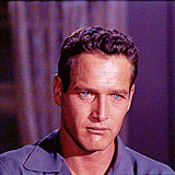 Paul Newman - tumblr_ly04awQ4Hf1qd3dyzo11_r1_250.gif