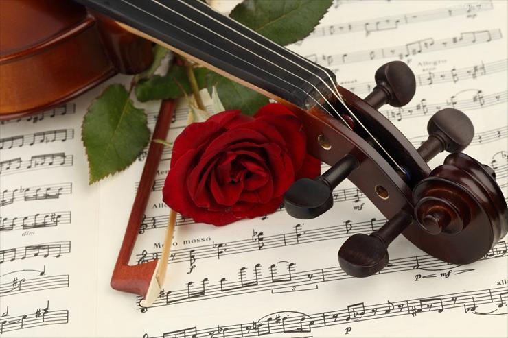 Tapety róże i muzyka - 117262_skrzypce_smyczek_nuty_roza.jpg