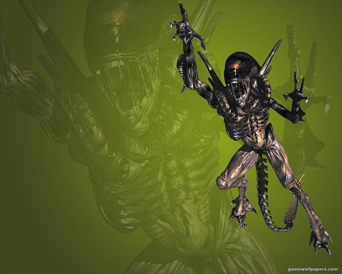 Aliens vs. Predator 2 - alien_07_1280.jpg