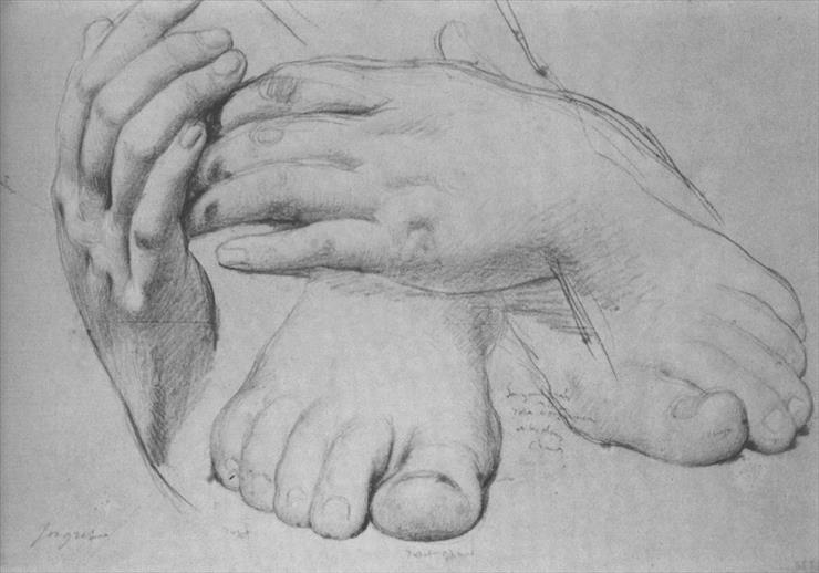 Ingres Jean Auguste Dominique 1780-1867 - Study Of Hands And Feet For The Golden Age.jpg