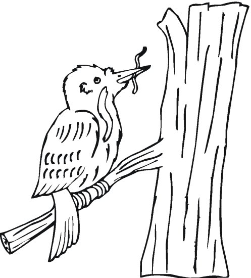 różne - wróbel - kolorowanka ptaki 24.gif
