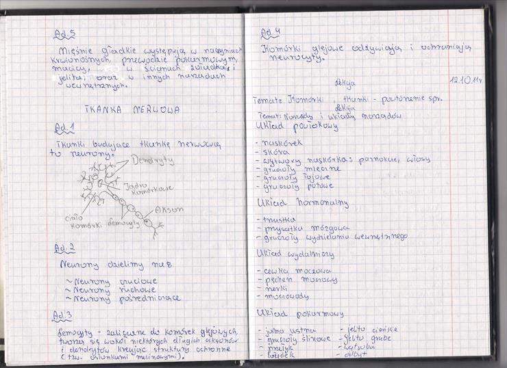 Biologia - Biologia tkanka nerwowa narządy i układy narządów cz. 1.jpg