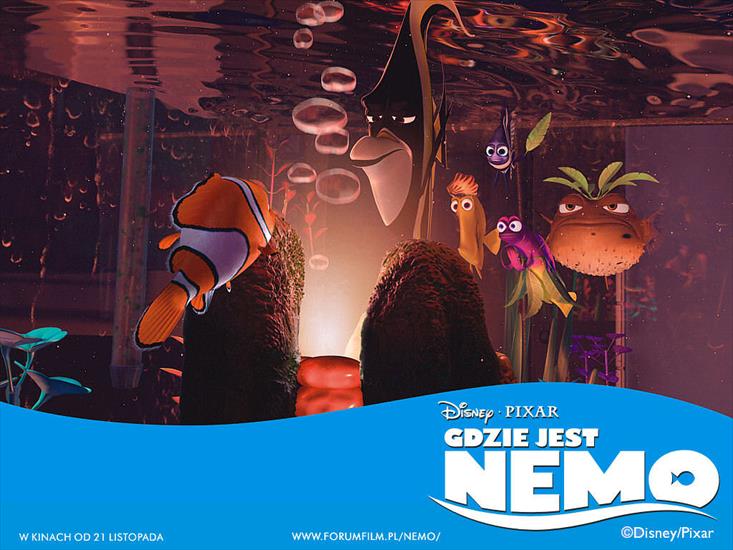 Gdzie jest Nemo - 441_1024x768.jpg