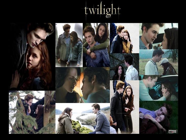 TWILIGHT - Zmierzch - Twilight Movie 53.jpg