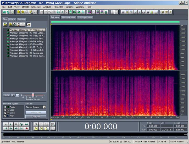 Adobe Audition spectrum - Track 07.jpg