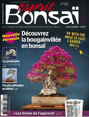 czasopisma w obcych językach - ESPRIT BONSAI nr 58.jpg