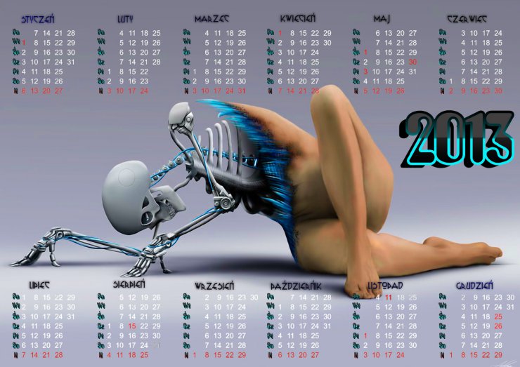 KALENDARZE - calendar 2013.jpg