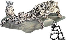 Alfabet z Leopardem - A.gif