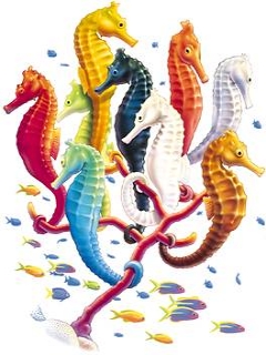 Tapety na tel - seahorses.jpg