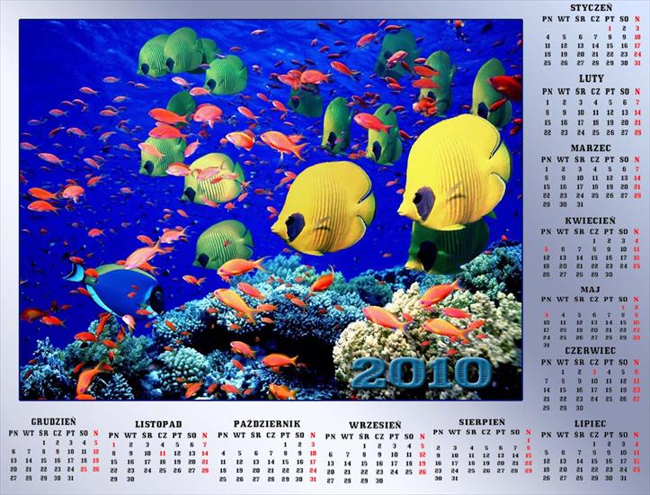 Kalendarze 2010 - anna37_37  MOJEGO WYKONANIA 4931.jpg