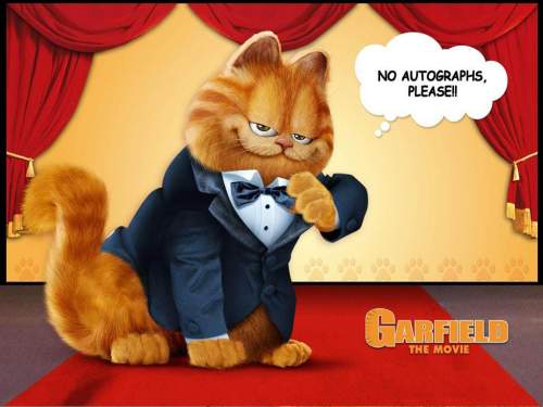 tapety - GARFIELD - Garfield_19.jpg