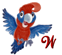 Alfabet z Papugą - W.gif