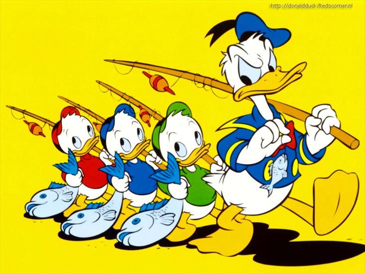 gify kaczor donald i spółka - donaldduck004.jpg