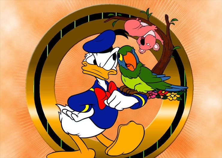 Disney Donald i Daisy - Donald2.jpg