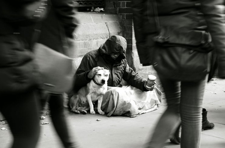 MIŁOŚĆ_NIEJEDNO_MA_IMIĘ_ - homeless-dogs-and-owners-6.jpg