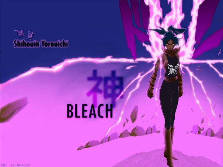 Bleach - yoruichi004.jpg