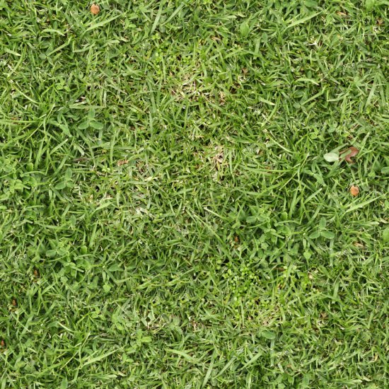 10-tileable-grass-patterns-bonuses-93428 - Grass-03-Color.jpg