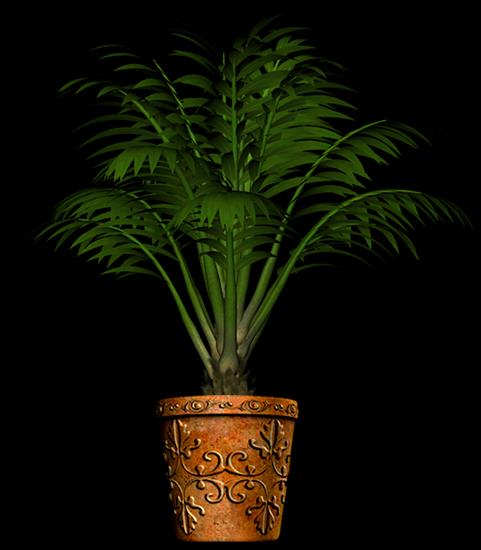 03 - Potted_Palms_Potted_Palm_1_Scrap_and_Tubes.png