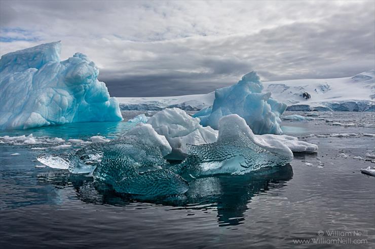 KRAINA_WIECZNYCH_LODÓW_ - William Neill_Antarctica2014.jpg