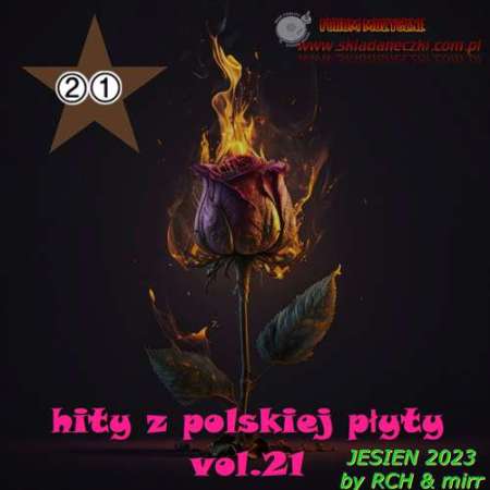 VA - Hity z Polskiej Płyty Vol. 21- 2023 - folder.jpg
