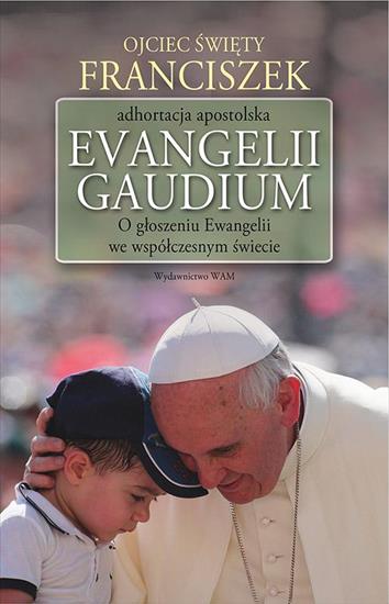 EVANGELII GAUDIUM 217 - cover.jpg